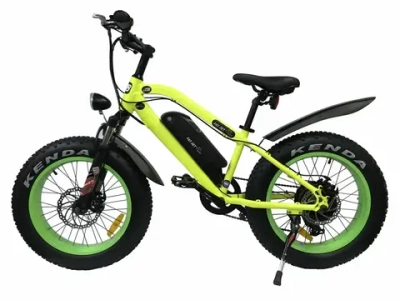 Электровелосипед Horza Stels Adrenalin D 1500W