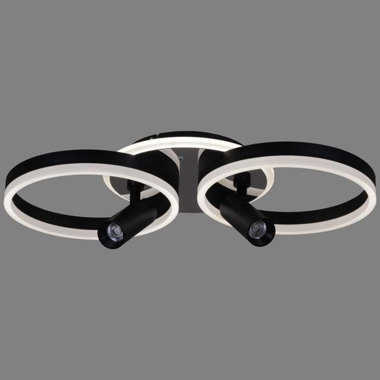 77797-3.3-2+2 светильник потолочный