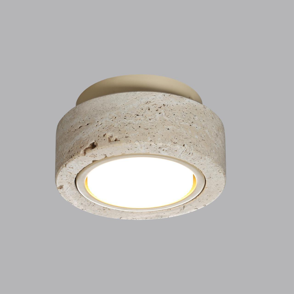 Потолочный светильник ODEON LIGHT 6625/1C