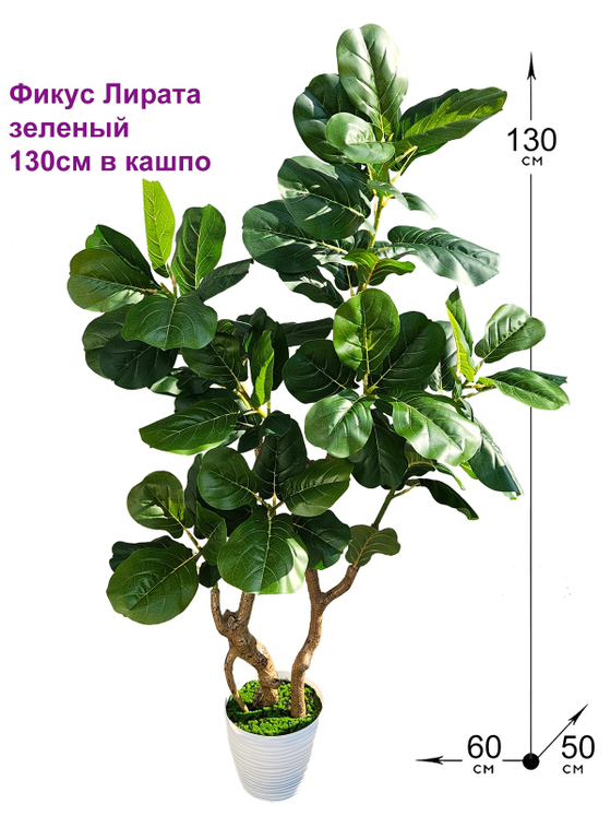 Искусственное растение Лирата зеленый 130см в кашпо