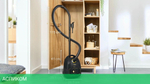 Пылесос Bosch BGL38GOLD черный/золотистый