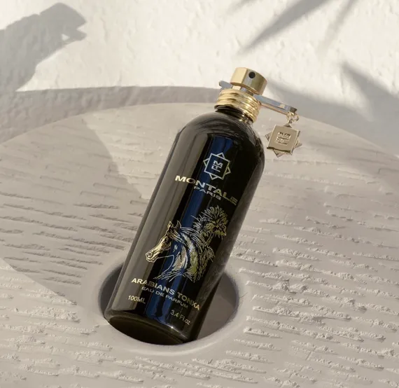 Montale Arabians Tonka