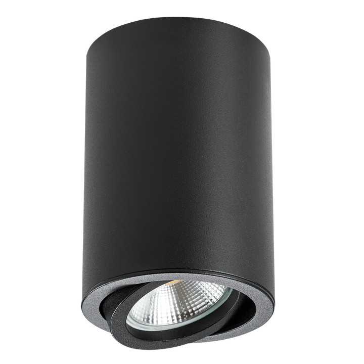 Потолочный светильник Lightstar Rullo 214407