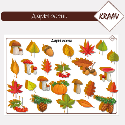 Развивающая игра подбери по тени "Дары осени"