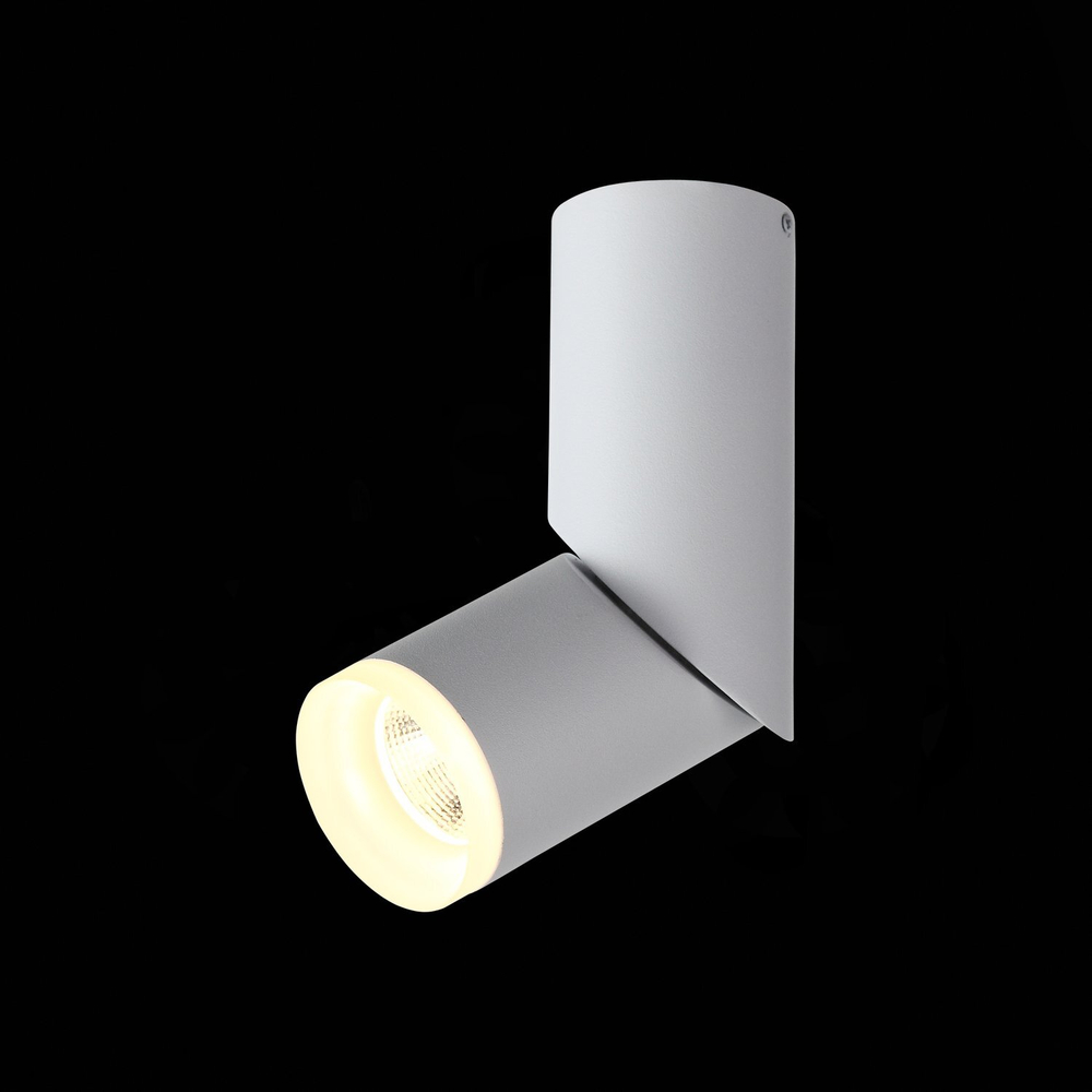 ST107.502.10 Светильник потолочный Белый LED 1*10W 3000K 780Lm Ra&gt;80  D50xH168 170-240V Накладные светильники