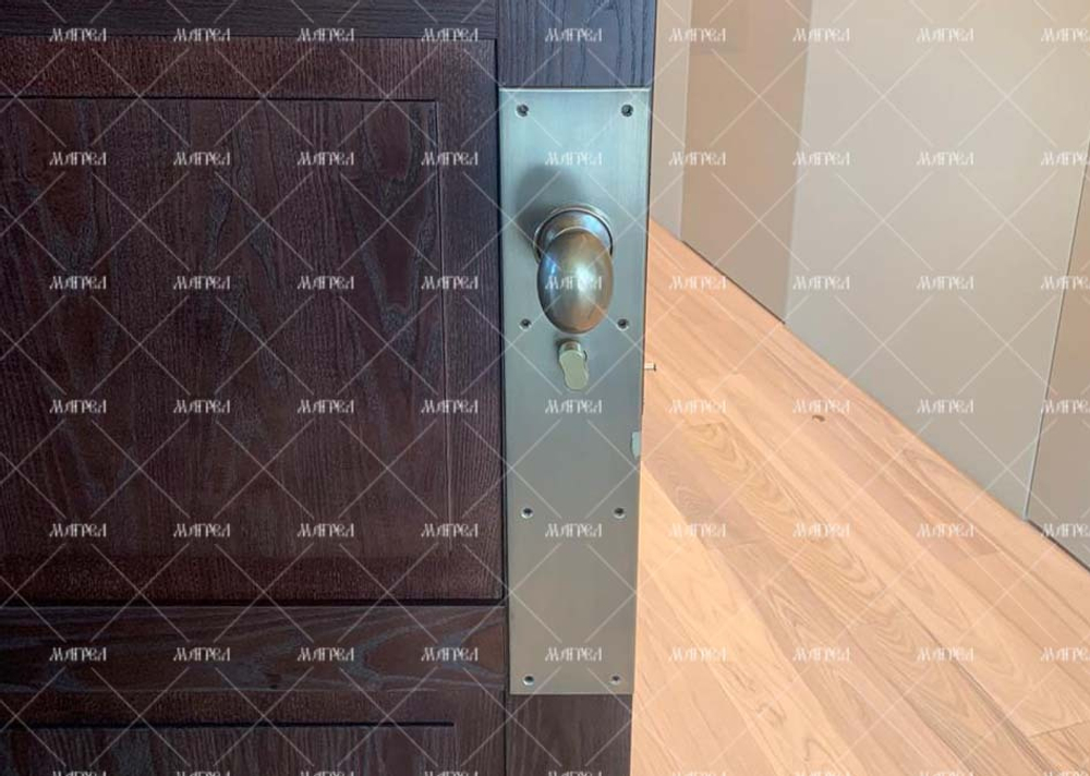 Ручка с антивандальной пластиной