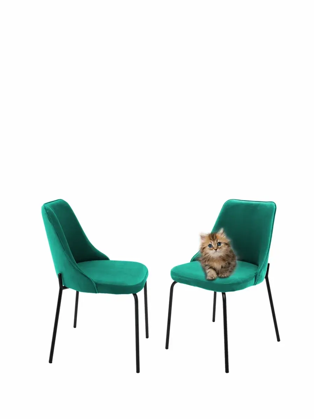 Стул "Флорес" 2 шт. Антивандальная ткань, Дизайнерские ножки