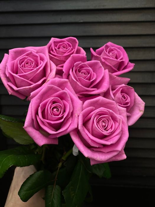 Букет из 7 голландских роз 60 см  ( цвет роз на выбор) #1969