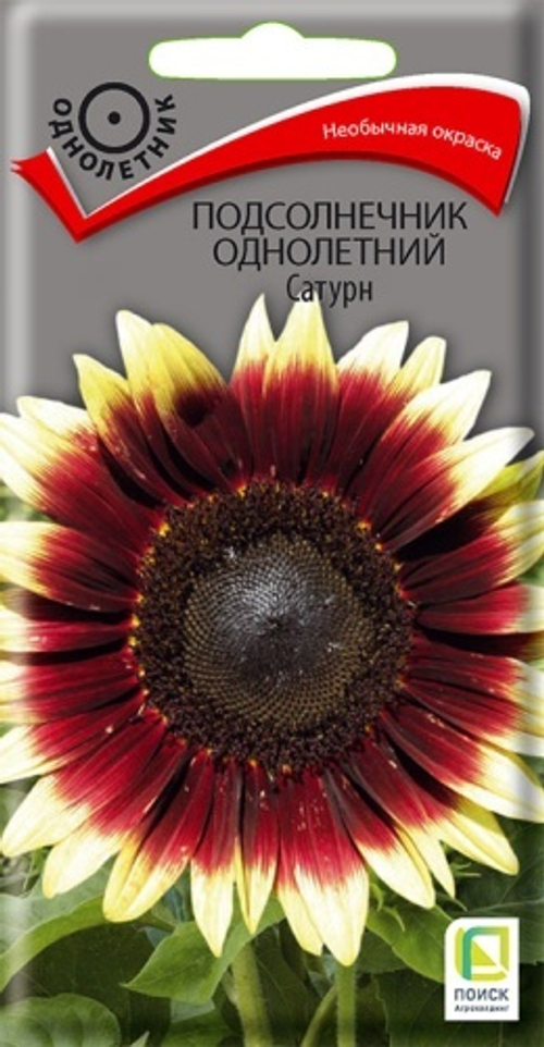 Подсолнечник декор. Сатурн 0,3гр Поиск