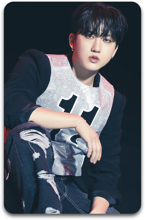 Карта / STRAY KIDS #1761