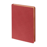 Подарочный набор: Шариковая ручка Parker  Jotter XL SE20 Monochrome в подарочной упаковке, цвет: Black, стержень: Mblue и Ежедневник недатиров