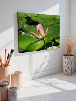 Картина на стену 40 X 50 Лотос