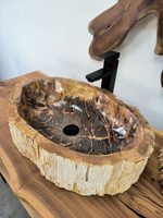Раковина из окаменелого дерева OD-65889 58х39х15 из натурального камня