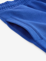 Джоггеры для мальчика Next B99-325, Синий