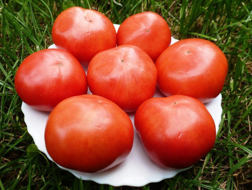 Помидоры Раменские Местные