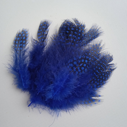Перья цесарки синие 2 сорт 15 шт.