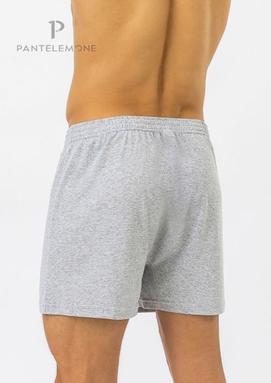 Трусы мужские семейные для больших мужчин Pantelemone PMBB-039, серый