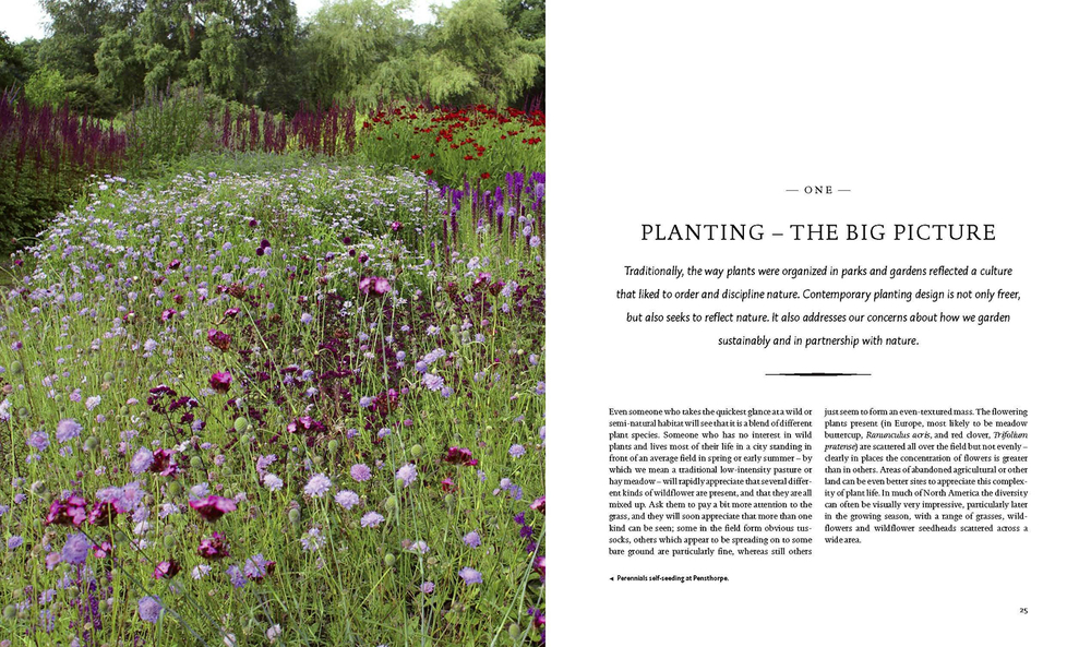 Planting: A New Perspective