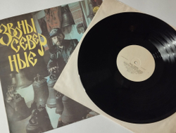 Винтажная виниловая пластинка LP Владимир Петровский, Звоны Северные, Chimes Of Russian North (СССР 1991) С Афтографом