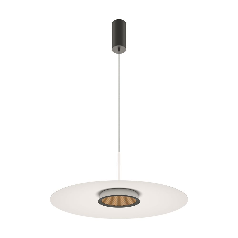 Подвесной светильник Maytoni MOD041PL-L15W3K1