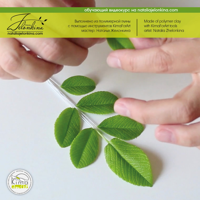 Шиповник лист маленький