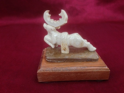 Северный олень