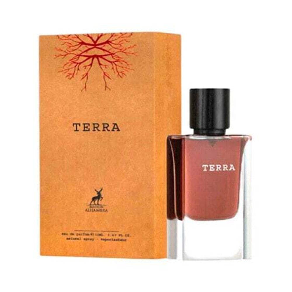 Мужская парфюмерия Alhambra Terra - EDP
