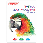 Папка для рисования БОЛЬШОГО ФОРМАТА А3, 40 л., 120 г/м2, ПИФАГОР, 297х420 мм, "Попугай"