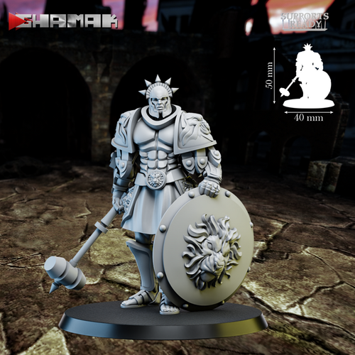 Grand Alliance Order Stormcast Eternal Sequitors Воитель с молотом и щитом №4 миниатюра для dnd, днд, pathfinder, фентези, Настольная игра, НРИ, Варгейм, РПГ