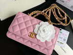Chanel Bag 19 cm