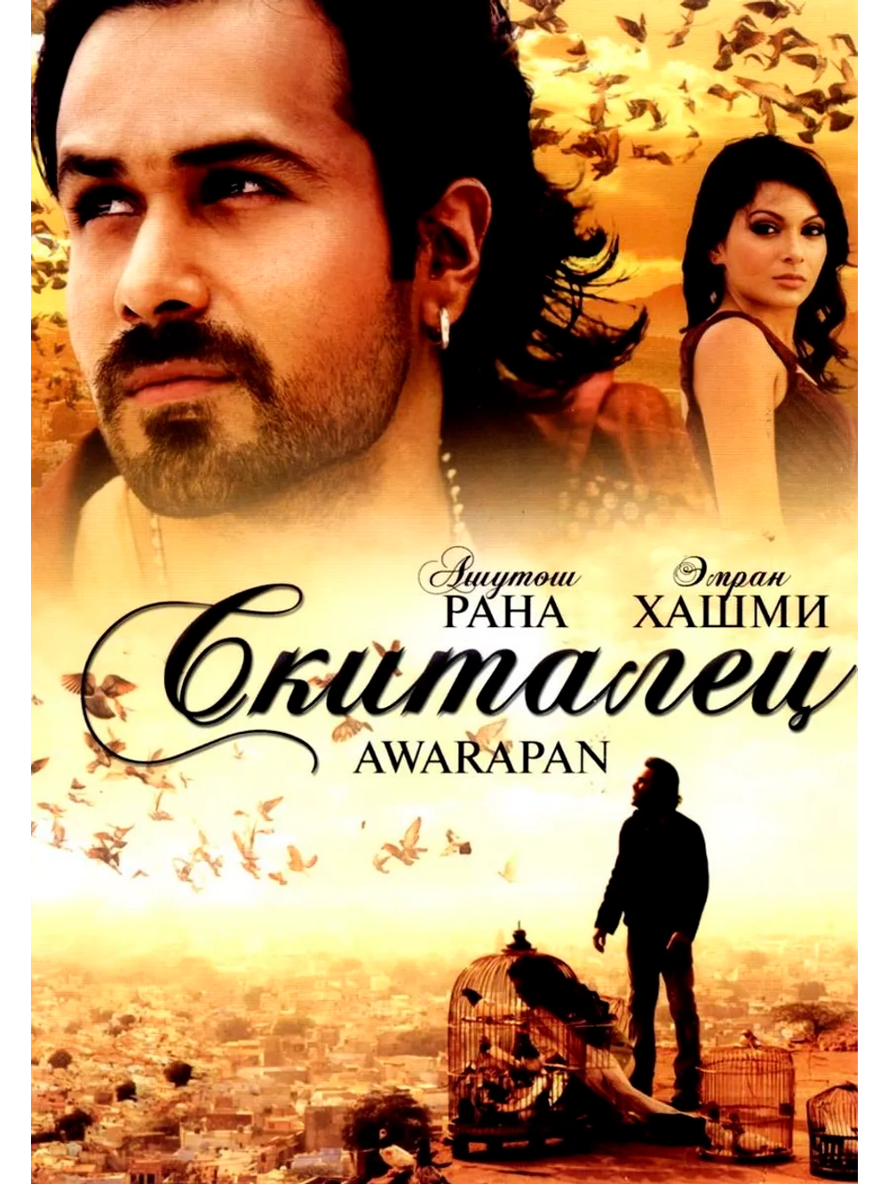 Скиталец (2007) (DVD-R)