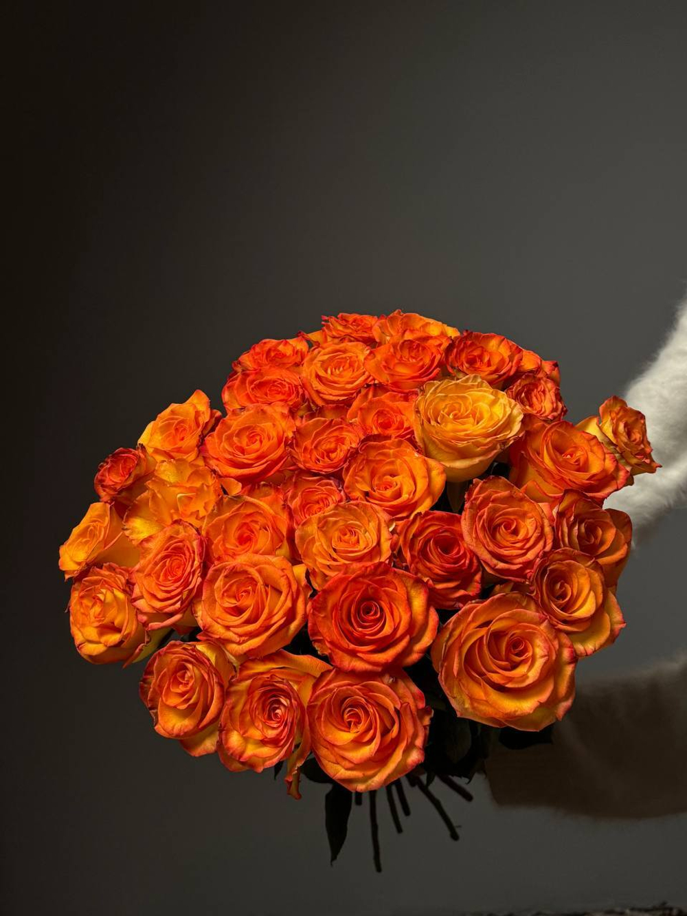 35 оранжевых роз