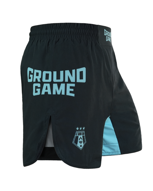 Шорты Ground Game MMA FC ARMBAR мятные