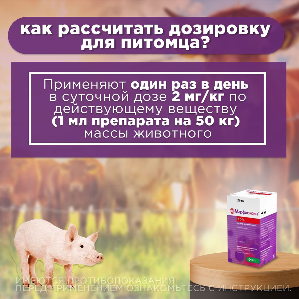 антибактериальный препарат для крупно рогатого скота, раствор для инъекций KRKA Марфлоксин 100мл, Марбофлоксацин 10%