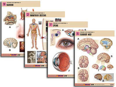 Комплект таблиц "Человек и его здоровье 2" (10 табл, формат А1)