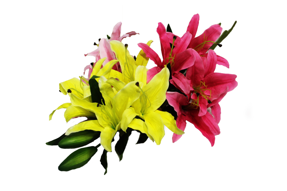 Ветка Лилий с бутоном