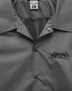 Куртка Anteater Coach NLN Серая