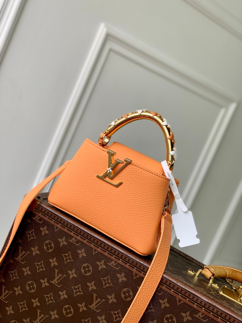 Louis Vuitton Capucines Mini