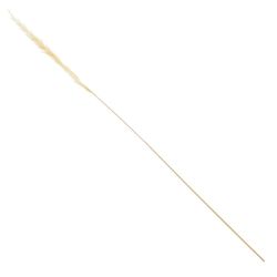 GAEM Ветка "Сухоцвет", набор из 15 шт, L7 W7 H67 см