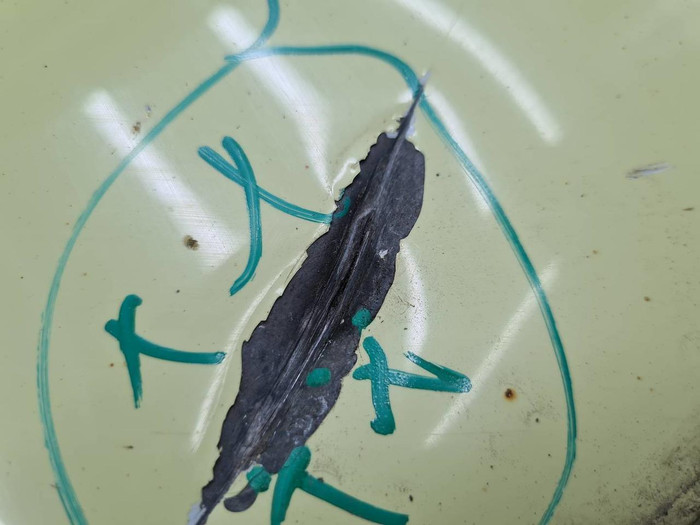 Дверь передняя левая Opel Meriva B (2010-2018)