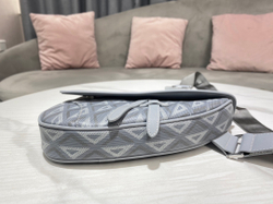 Christian Dior Saddle 26 cm