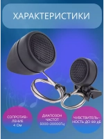 Динамики автомобильные пищалки твитеры CTC366G