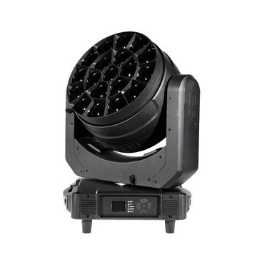 Torrenti Middle Rainbow