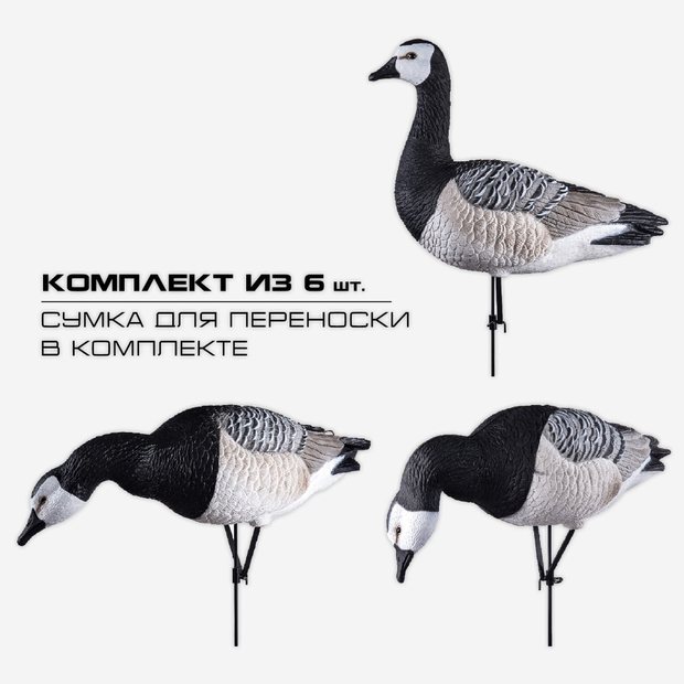 Белощекая казарка Duck Mania "ELITE" комплект (6 шт.)