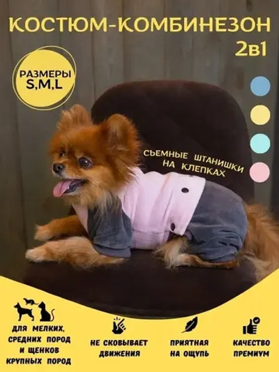 Комбинезон костюм для собак и кошек