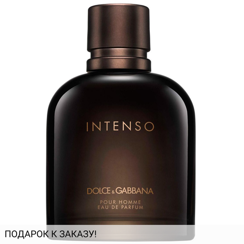 Dolce and Gabbana Pour Homme Intenso