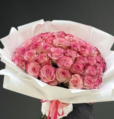 51 роза Палома