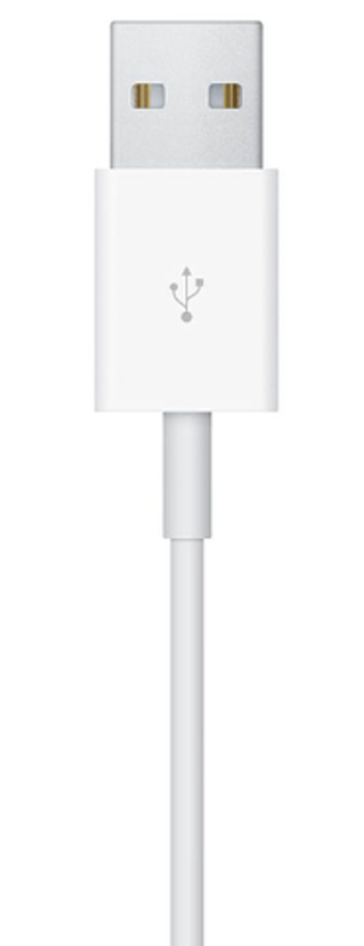 Apple Watch Magnetic Charger to USB Cable (0.1m) (MU9G2)