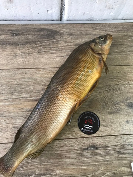 Муксун холодного копчения