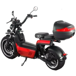 Электроскутер SKYBOARD BR100-5000 (Amur)